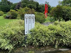 -桃花岛景观公园