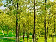 -重庆中央公园(渝北区)