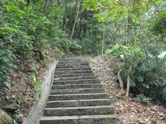 -火炉山森林公园