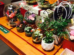 -矢量咖啡(万象汇店)