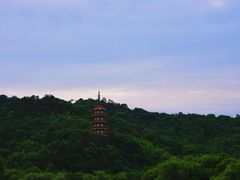 -天下玉苑
