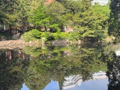 -叶家花园