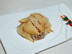 -蝶园·装修中(BFC外滩金融中心店)