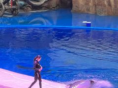 -华夏文旅海洋公园