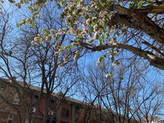 -天幕新彩云国际影城(激光巨幕店)