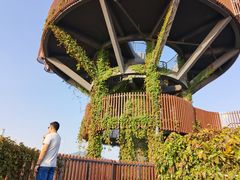 -芒洲湿地公园