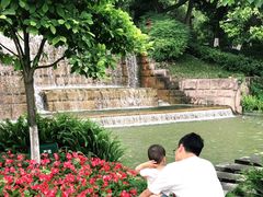 -成飞公园