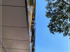 -阿男野栗王(金门路店)