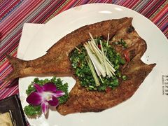 -香巴拉云南餐厅(华莱坞店)