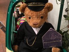 -济州岛泰迪熊博物馆