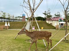 -盈香心动乐园