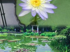 -国家植物园南园