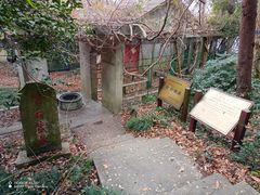 -紫金山山顶公园