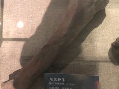 -大庆市博物馆