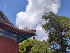 -大觉寺-停车场