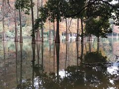 -云溪植物园