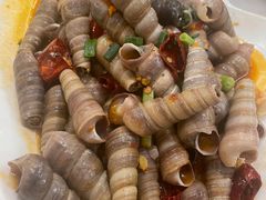 辣炒丁螺-华盛丰温州大排档(东三环南路店)