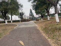 -白鹭湾湿地公园