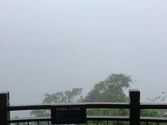 -三亚亚龙湾人间天堂鸟巢度假村