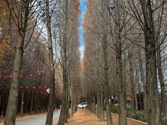 -捞渔河湿地公园