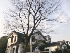 -石塘人家
