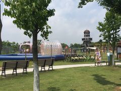 -上海长兴岛郊野公园