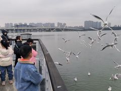 -蠡湖大桥公园