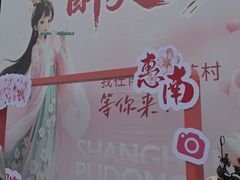 -南汇桃花村