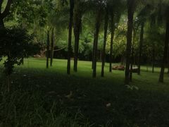 -南宁南湖公园