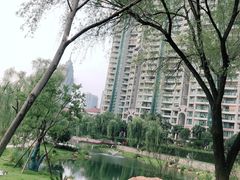-西北湖绿化广场