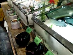 -大漠风烤肉火锅自助餐厅(鹰展店)