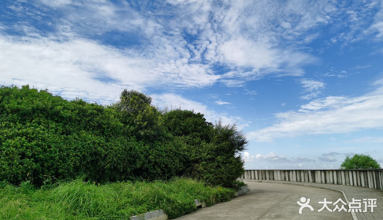 上海九段沙湿地国家级自然保护区