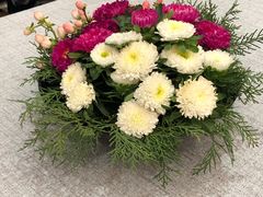 -渝蛙馆(新百店)