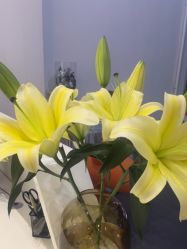 -MEMO Skin漫溯皮肤管理