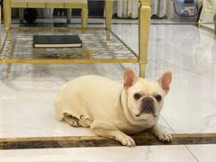 -Olé精品超市(海上世界店)