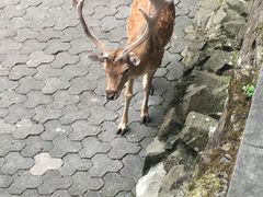 -萧山德纳MAX影城