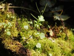 -盛邦家居建材广场
