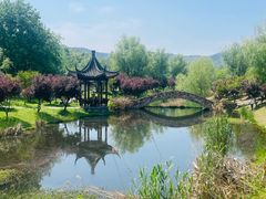 -石塘人家