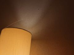 -雅安楠水阁温泉酒店