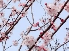 -保定市动物园