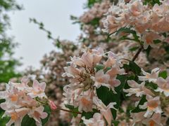 -太阳宫公园