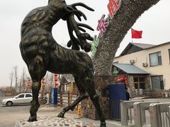 -北京鹿世界主题园