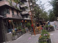 -泡桐树街