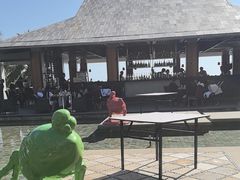 -日落吧·海景咖啡厅·餐酒吧·鸡尾酒·下午茶·乐队表演·浪漫夕阳·三亚文华东方酒店