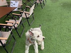 -DGE季风钓虾营地·团建·聚会