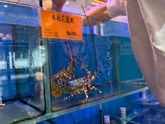 -好彩海鲜火锅饭店(银河百老汇店)