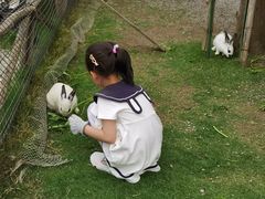 -菊园百果园