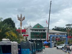 -打洛口岸