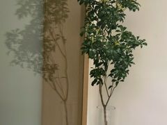 -稀物集咖啡(徽州大道店)
