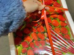 奶油草莓-江杨农产品批发市场